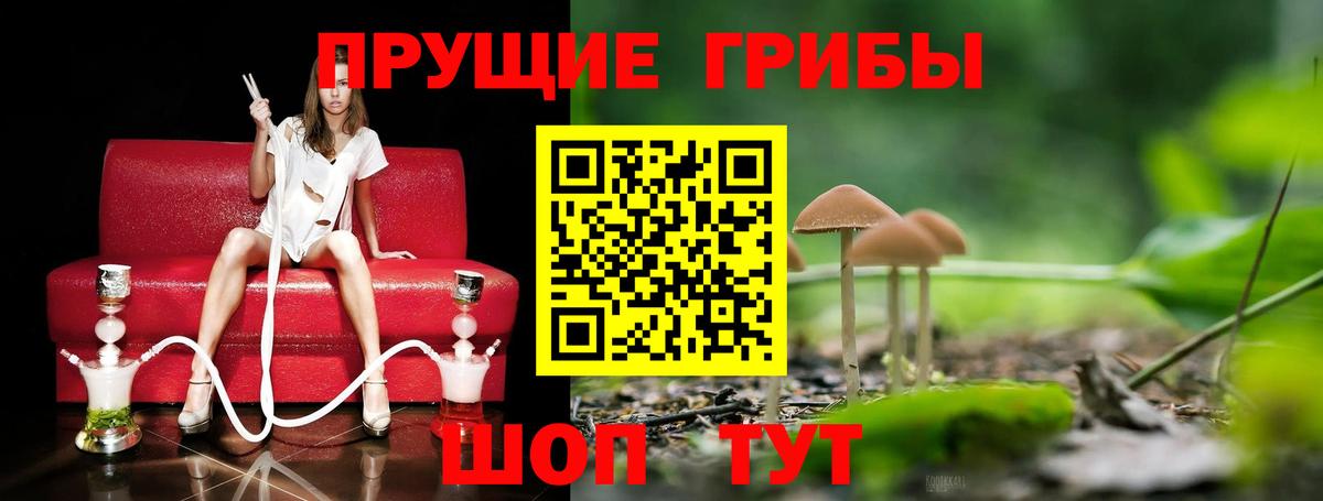 купить наркоту  Вход с VPN  Алапаевск  Галлюциногенные грибы ЛСД 